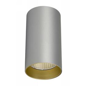 DL300108  Eos 20, 20W Silver & Gold Surface LED Spotlight 1480lm 25° 2700K IP20